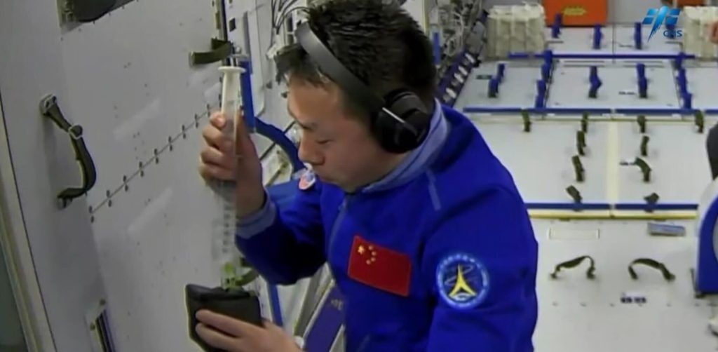 محققان چینی موفق شدند در یک ایستگاه فضایی برنج بکارند