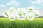 تخمین سطح زیرکشت ۱۳ محصول راهبردی کشاورزی با هوش مصنوعی